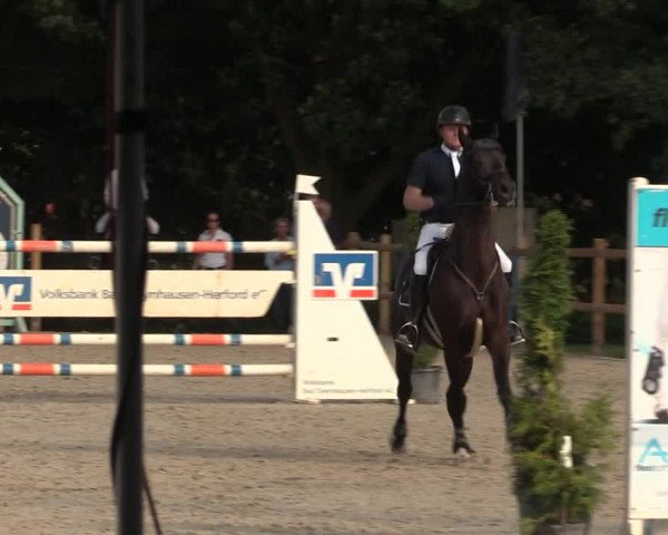 Reitturnier Vlotho-Exter 2018