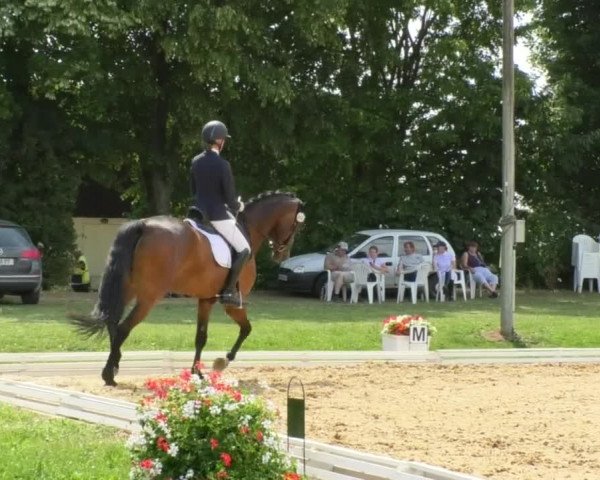 Reitturnier Nördlingen 2018