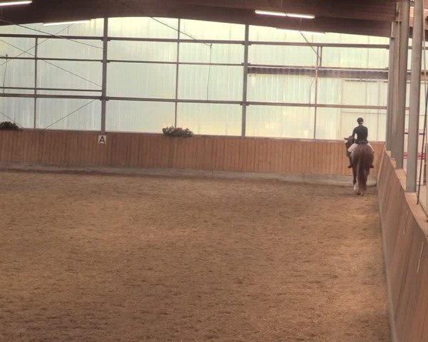 Reitturnier Herbern 2018