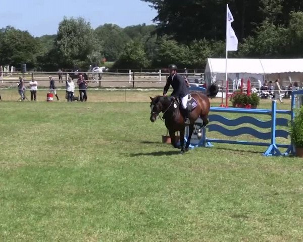 Reitturnier Hanerau-Hademarschen 2018