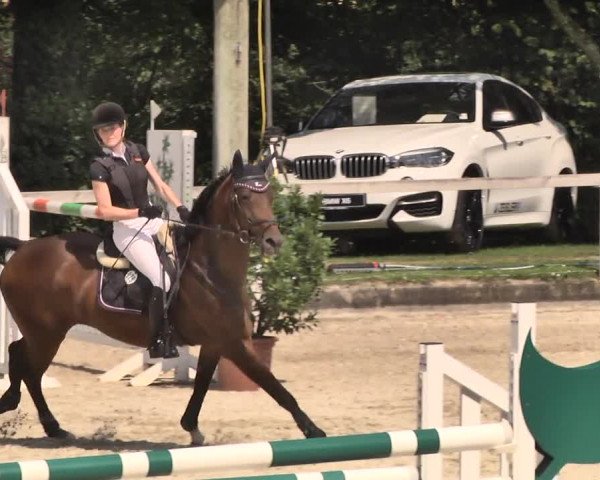 Reitturnier Waiblingen 2018