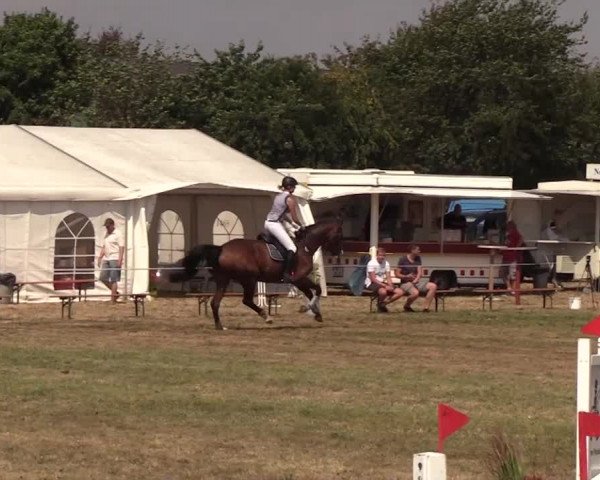 Reitturnier Ladelund 2018