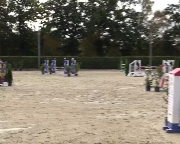 Reitturnier Olfen-Vinnum 2018