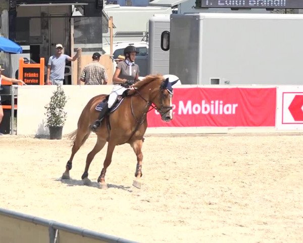 Pferdesporttage Galgenen 2018
