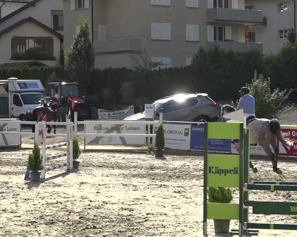 Schwyzer Pferdesporttage 2018