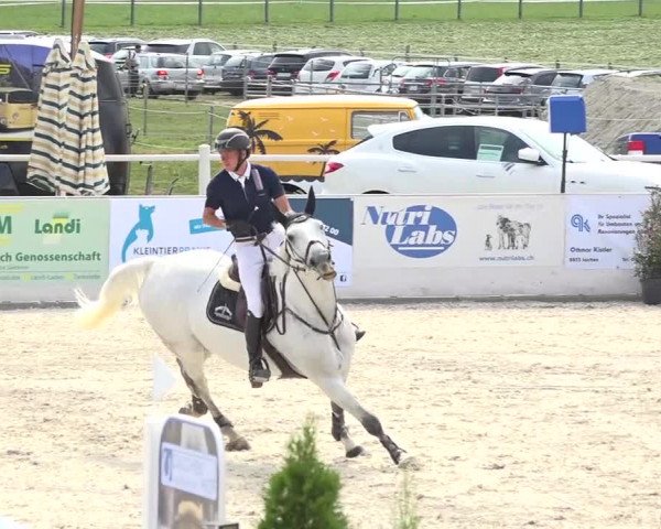 Pferdesporttage Galgenen 2018