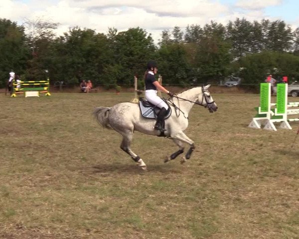 Reitturnier Sollerup 2018