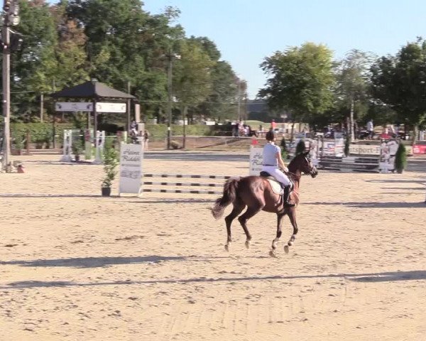 Reitturnier Olfen-Vinnum 2018
