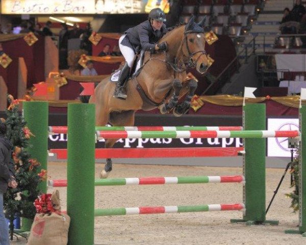jumper Venus 126 (KWPN (Royal Dutch Sporthorse), 2002, from Ohorn)