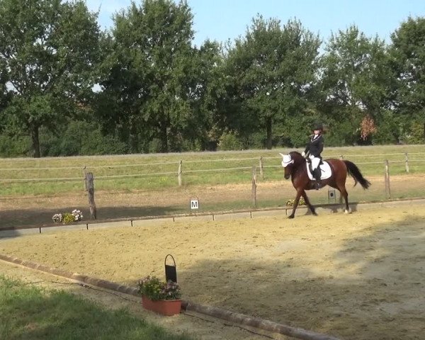Reitturnier Neuss-Uedesheim 2018