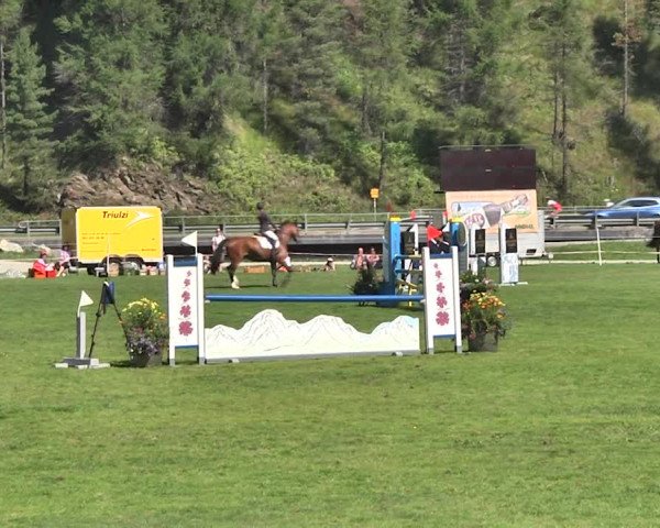 Sommer Concours Hippique St. Moritz 2018