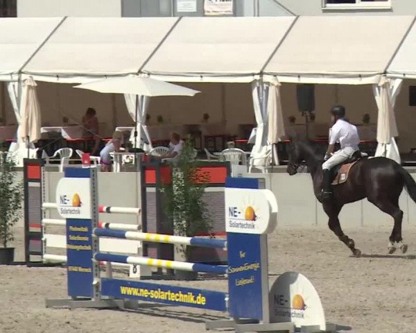 Reitturnier Grafenrheinfeld 2018