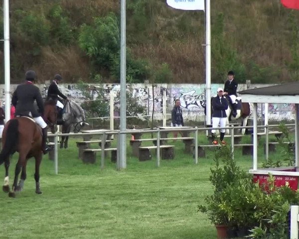 Reitturnier Gardelegen 2018