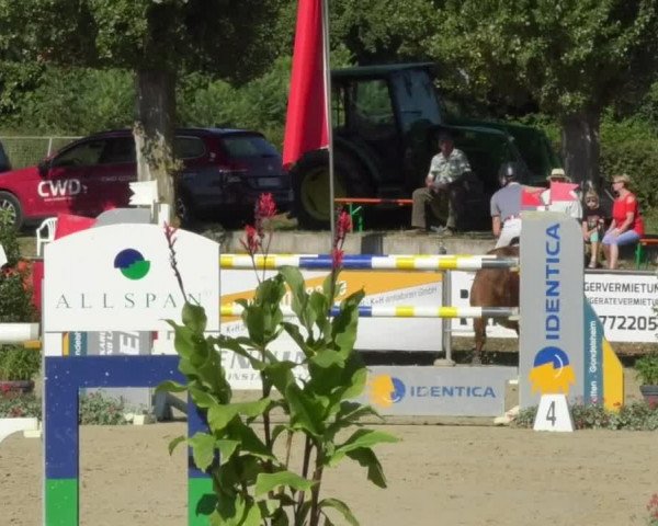 Reitturnier Oberderdingen 2018