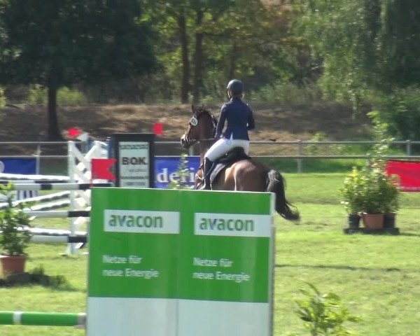 Reitturnier Gardelegen 2018