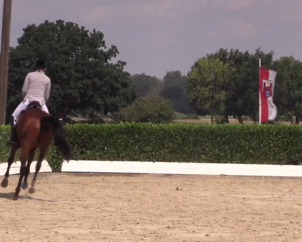 Reitturnier Gehlenbeck-Eilhausen 2018