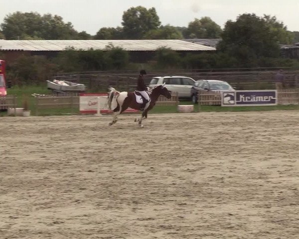 Reitturnier Schülp / Rendsburg 2018