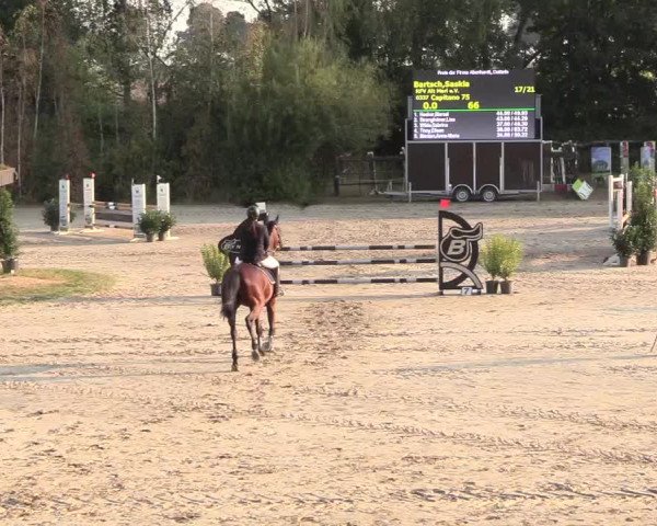 Reitturnier Datteln 2018