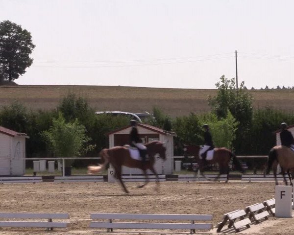 Reitturnier Menden 2018