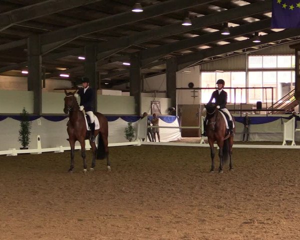 Reitturnier Münster-Albachten 2018