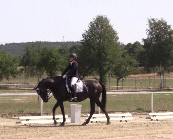Reitturnier Menden 2018