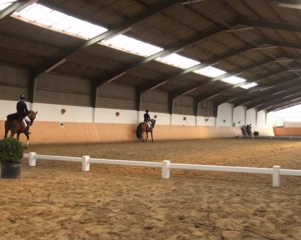 Reitturnier Datteln 2018