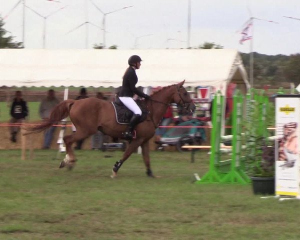 Reitturnier Löwenstedt 2018