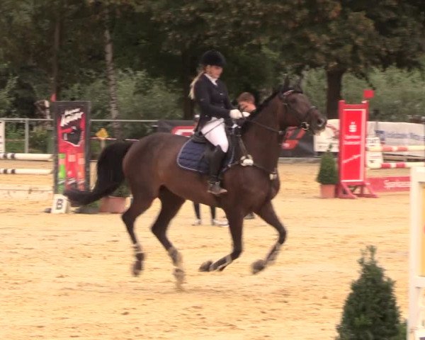 Reitturnier Duderstadt 2018