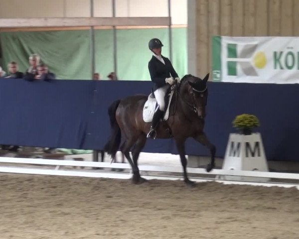 Reitturnier Weilheim/Teck 2018