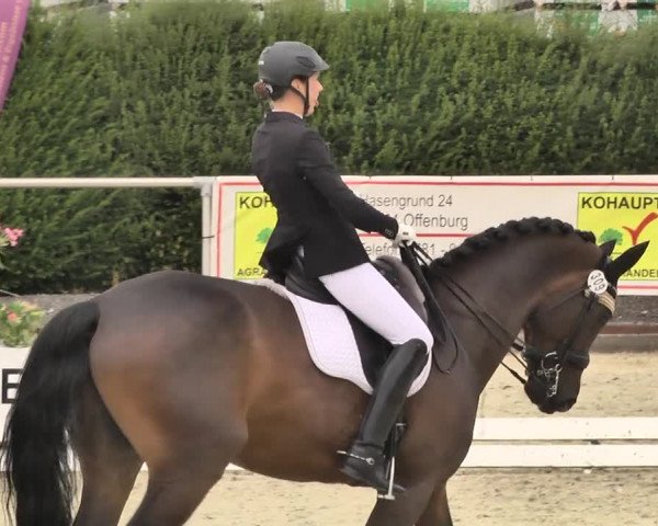 Reitturnier Durmersheim-Hardt 2018