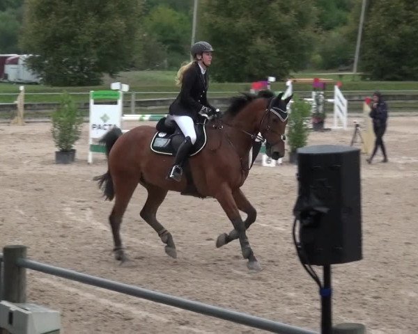 Reitturnier Weilheim/Teck 2018