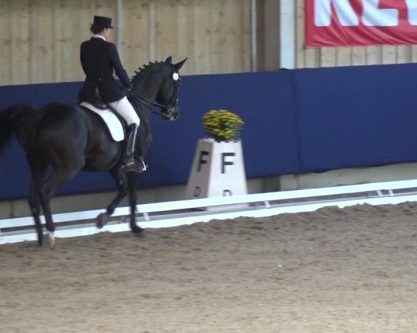 Reitturnier Weilheim/Teck 2018