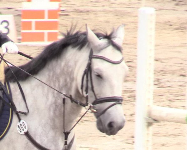 Reitturnier Recklinghausen 2018