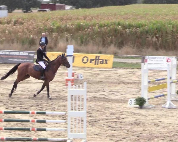 Reitturnier Recklinghausen 2018