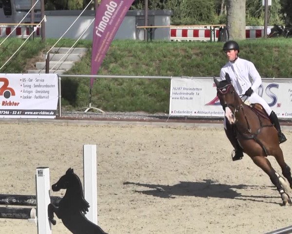 Reitturnier Durmersheim-Hardt 2018