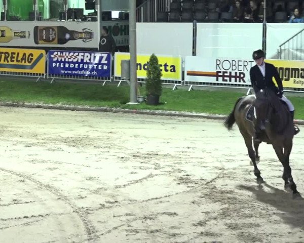 FEI Reitturnier Humlikon (SUI) 2018