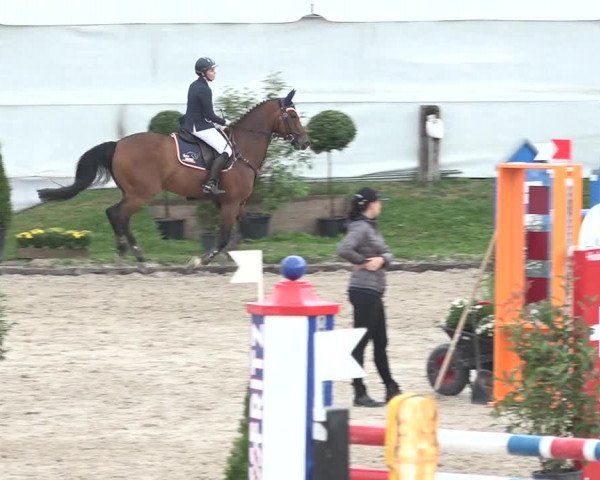 FEI Reitturnier Humlikon (SUI) 2018