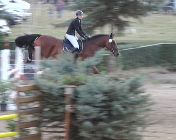 Reitturnier Jühnsdorf 2018