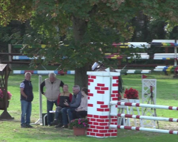 Reitturnier Würselen-Pley 2018
