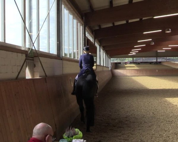 Reitturnier Gut Hohenkamp / Dorsten 2018