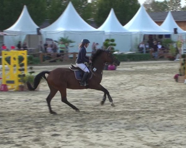 Reitturnier Köln - Reitanlage Brüse 2018