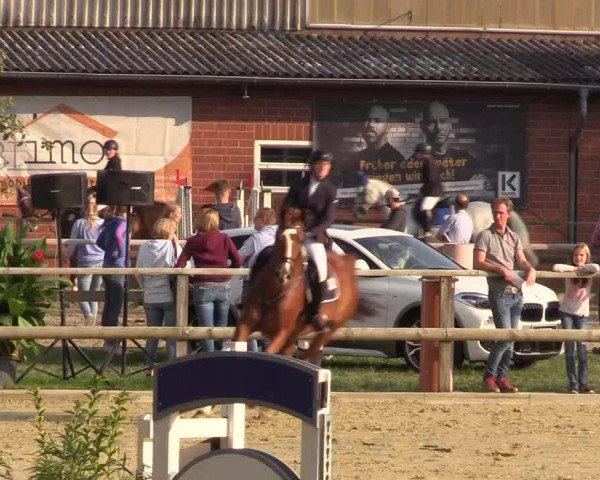 Reitturnier Albersloh 2018