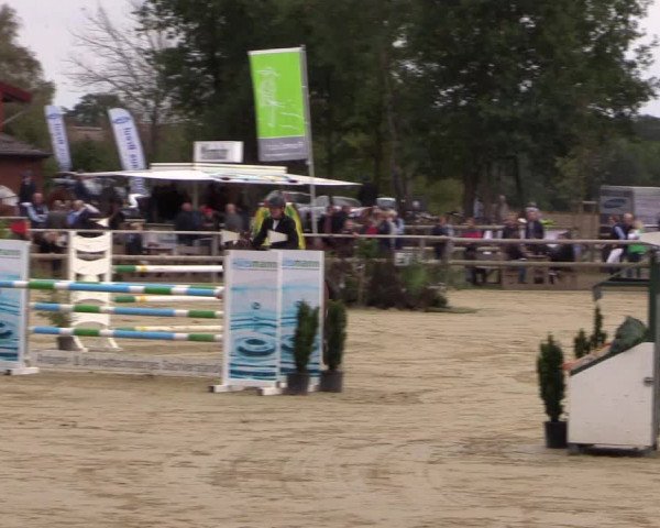 Reitturnier Albersloh 2018