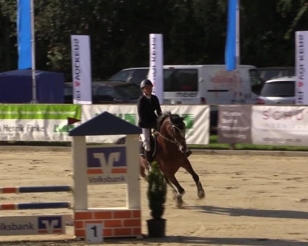 Reitturnier Albersloh 2018