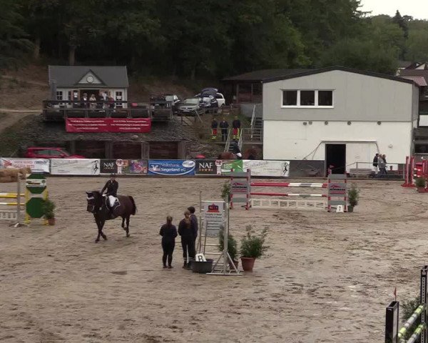 Reitturnier Siegen 2018