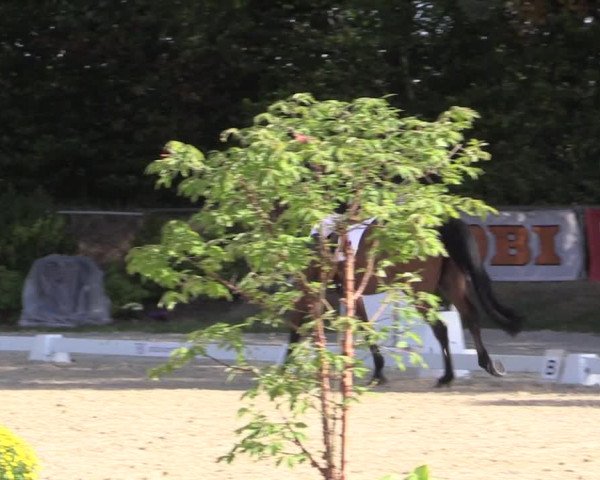Reitturnier Meinerzhagen 2018