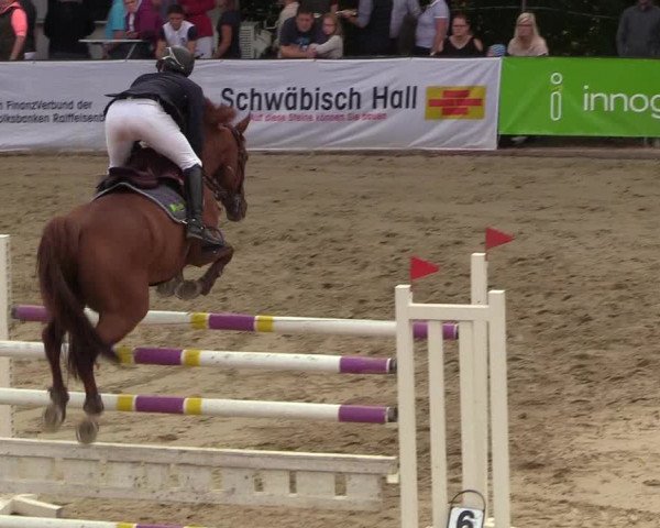 Reitturnier Buchenhof-Ibbenbüren 2018