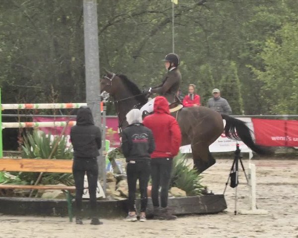 Reitturnier Neunkirchen-City 2018