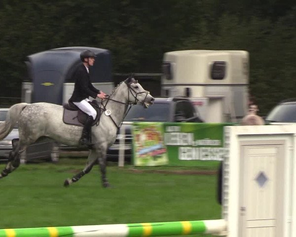 Reitturnier Kellinghusen 2018