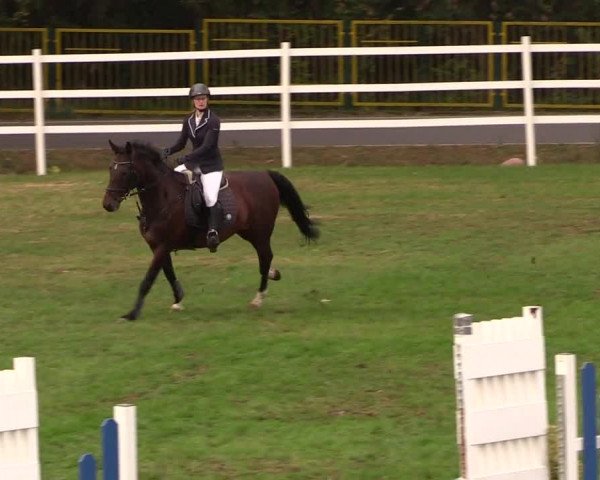Reitturnier Müncheberg 2018